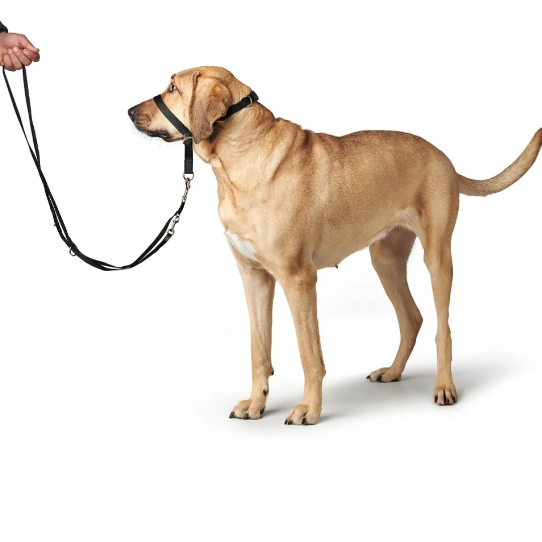 Hunter Follow Me snudesele til hund str L