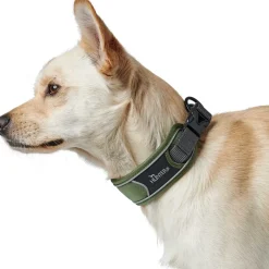 Hunter Halsbånd Divo L Grøn/Grå - justerbart hundehalsbånd (45-55 cm, B 4,5 cm)