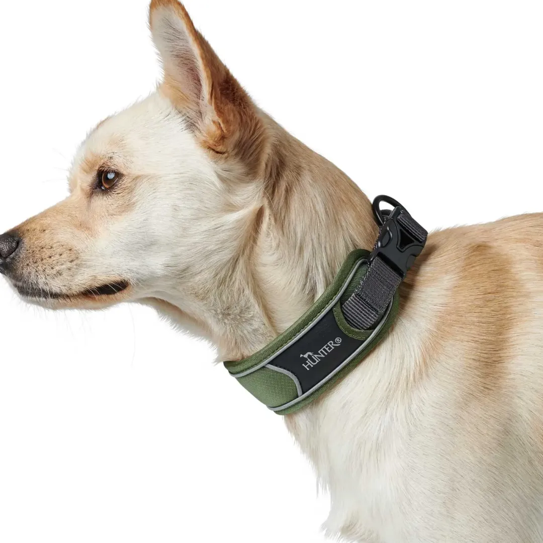 Hunter Halsbånd Divo L Grøn/Grå - justerbart hundehalsbånd (45-55 cm, B 4,5 cm)