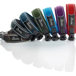 Hunter Halsbånd Divo S Grøn/Grå - justerbart hundehalsbånd (25-35 cm, B 4 cm)