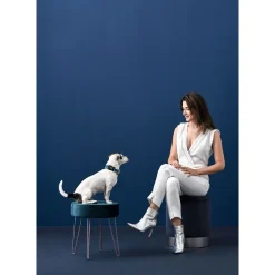 Hunter hunde halsbånd Hilo Blå XL - justerbart hundehalsbånd (45-70 cm, B 3,8 cm)