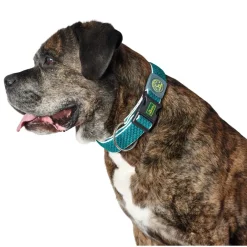 Hunter hunde halsbånd Hilo Turkis XL - justerbart hundehalsbånd (45-70 cm, B 3,8 cm)