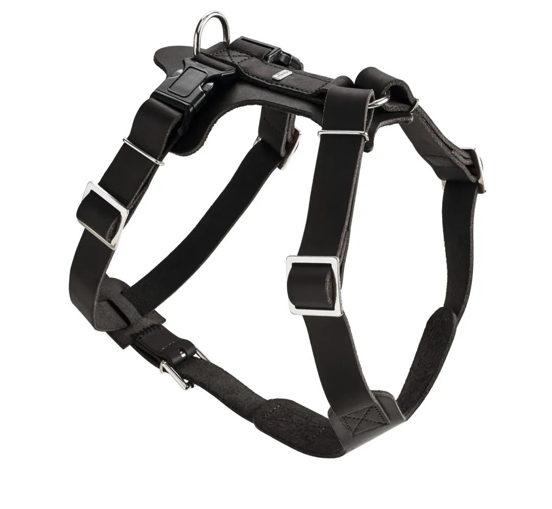 Hunter Hundesele Aalborg Sort XS - 38-52 cm bryst/hals