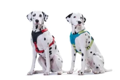 Hunter hundesele Neopren Rød XL længde 73-94 cm 2,5 cm - blød og stabil komfort