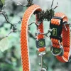 Hunter Hundesnor Hilo Orange 20/200
