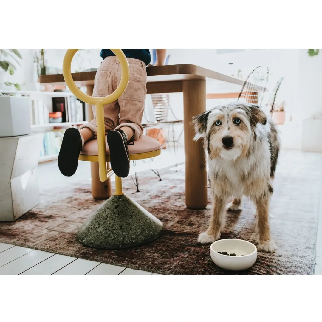 Hunter keramik Lund hunde skål 1500 ml Beige