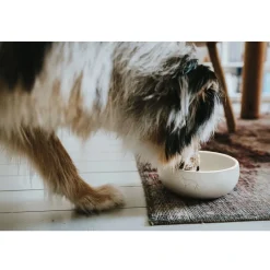Hunter keramik Lund hunde skål 1500 ml Beige