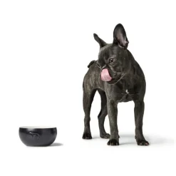 Hunter Keramik Lund Hunde Skål 900 ml Sort