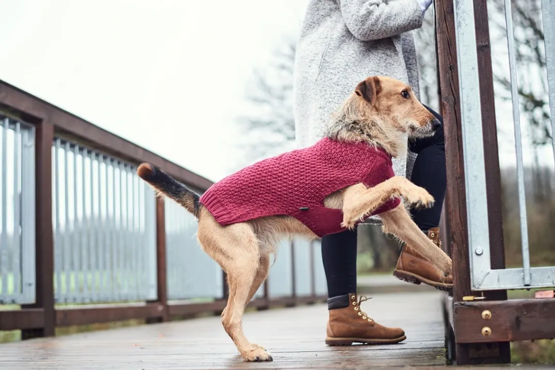 Hunter Malmø pullover strik bordeaux str. 35