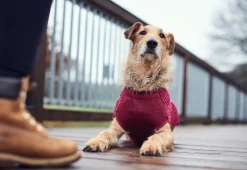 Hunter Malmø pullover strik bordeaux str. 45