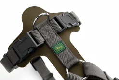 Hunter Mixed Aalborg læder hundesele XS-S grøn/grå hals 40-50 cm - komfort og kvalitet