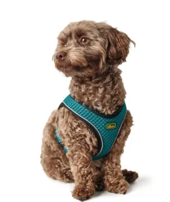 Hunter NY Hilo Comfort hundesele M-L turkis mave/bryst 65-70 cm - Let komfort og synlig pasform