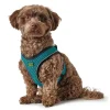 Hunter NY Hilo Comfort hundesele turkis M