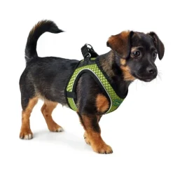 Hunter NY Hilo Comfort hundesele XXS-XS lime mave/bryst 33-36 cm - Fleksibel let pasform til små hunde