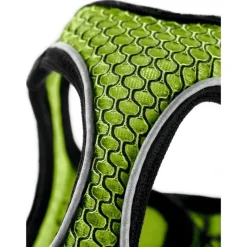 Hunter NY Hilo Comfort hundesele S-M lime mave/bryst 52-58 cm - Fleksibel støtte og komfort
