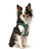 Hunter NY Hilo Comfort hundesele XXS-XS turkis mave/bryst 33-36 cm - Fleksibel let pasform til små hunde