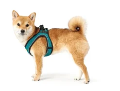 Hunter NY Hilo Comfort hundesele XS-S turkis mave/bryst 40-46 cm - Fleksibel komfort til små hunde