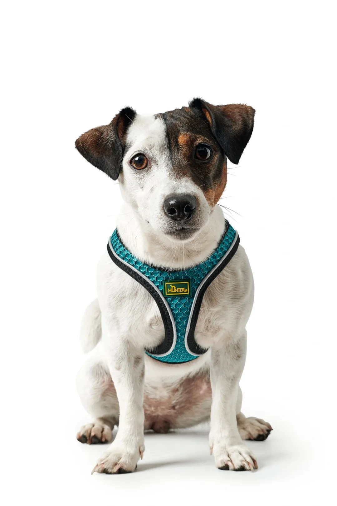 Hunter NY Hilo Comfort hundesele XS-S turkis mave/bryst 40-46 cm - Fleksibel komfort til små hunde