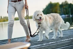 Hunter Sansibar Solid 35 Hundehalsbånd i læder - 24-30 cm