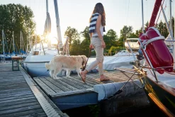 Hunter Sansibar Solid 40 Hundehalsbånd i læder - 30-36 cm
