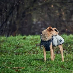 Hunter Uppsala Hundefrakke Grå 60