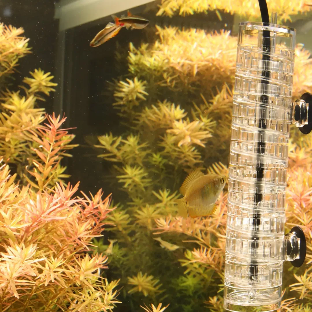 JBL Proflora CO2 Taifun Spiral 10