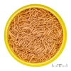 JBL ProNovo Betta Insektsticks S 100 ml