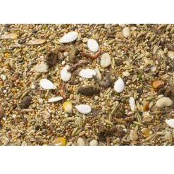 JR Farm JR Dværghamster Fuldfoder 600 g