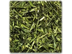 JR Farm JR Grøn Havre 100 g