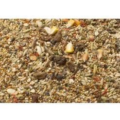 JR Farm JR Hamster Fuldfoder 600 g (smovs)