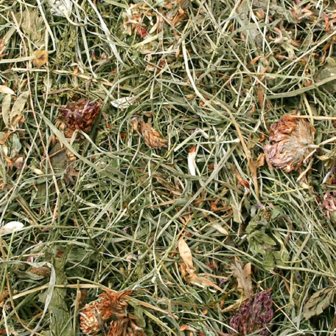 JR Farm JR Kløvereng 500 g