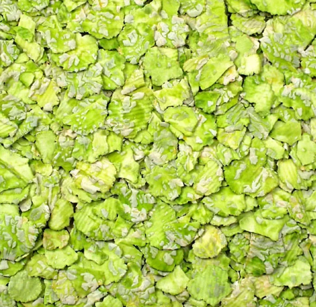 JR Farm JR Ærteflager 1 kg