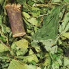 JR Farm JR Skovhemmelighed 100 g