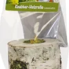 JR Farm JR Snack Trærulle Mælkebøtte 100 gram