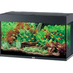 Juwel Akvarium Rio 125 Sort