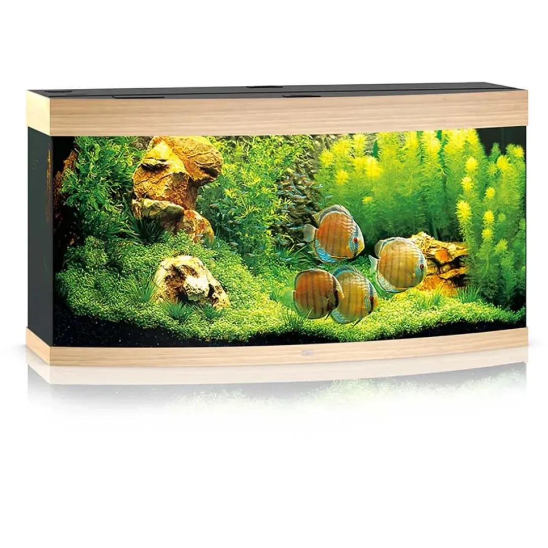 Juwel Akvarium Juwel Aquarium VISION 260 Eg