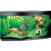 Juwel Akvarium Juwel Aquarium VISION 260 LED Sort