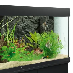 Juwel Akvarium Juwel Baggrund Stone granit 60 x 55 cm