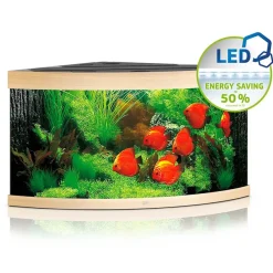 Juwel Akvarium Juwel Trigon 350 LED Eg Aquarium
