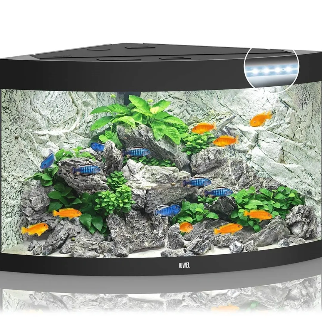 Juwel Akvarium Juwel Trigon 190 LED Sort Aquarium