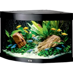 Juwel Akvarium Juwel Trigon 190 LED Sort Aquarium