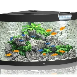 Juwel Akvarium Juwel Trigon 350 Sort Akvarium