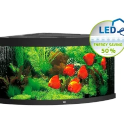 Juwel Akvarium Juwel Trigon 350 Sort Akvarium