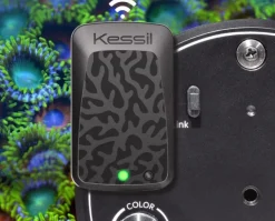 Kessil Akvariebelysning Kessil WiFi Dongle EU version