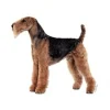 KW Hunde og Katteartikler Klistermærke af Airedale Terrier Mini
