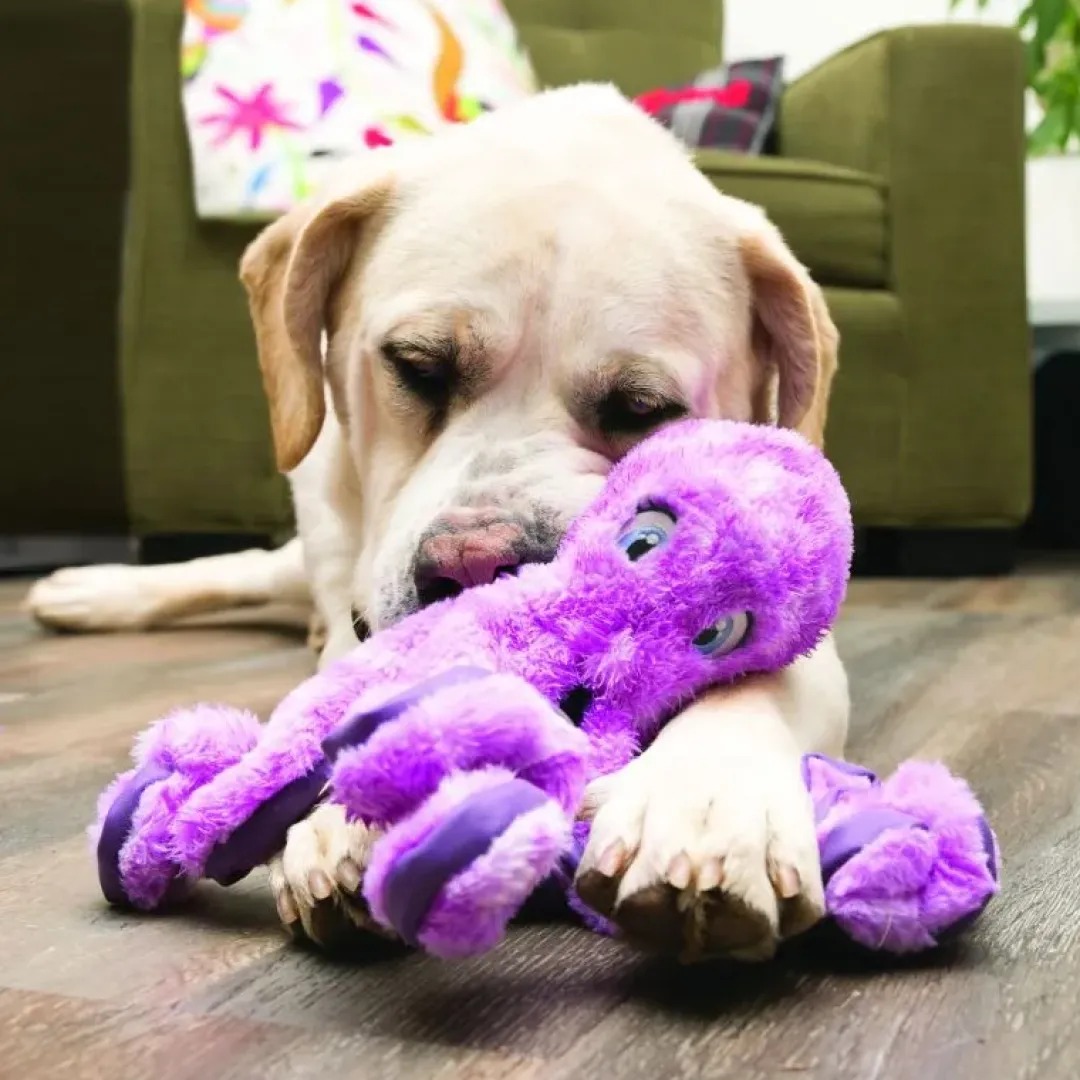 Kong Hundelegetøj SoftSeas Octopus Lilla L 27 cm - blæksprutte bamse til hunde