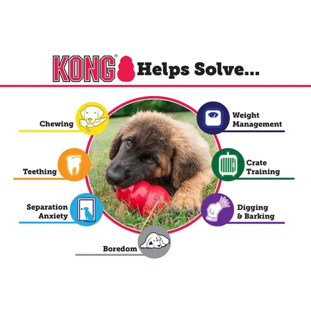 Kong Puppy Medium - hvalpelegetøj til leg og tyggetræning
