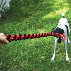 Kong Signature Reb Dobbelt Ring 59 cm Flerfarvet - hundelegetøj