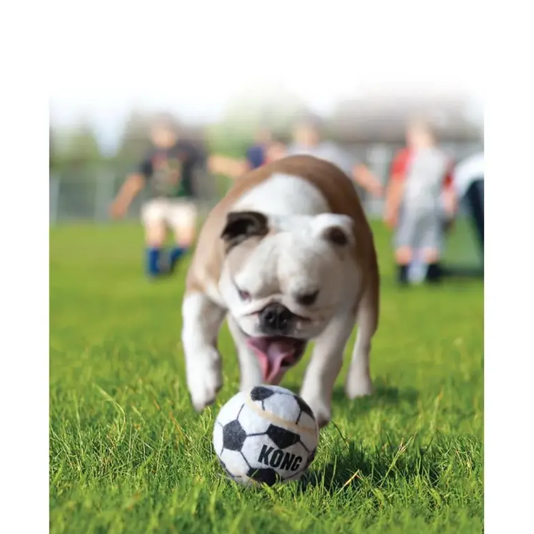 Kong Sport Apportbolde XSmall 3-pak - sjove bolde til små hunde