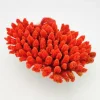 Blau - Aquaristic Kunstig koral Acropora florida (Red) 20x14x8 cm